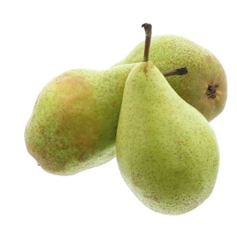 POIRE XENIA 60/65MM 14KG